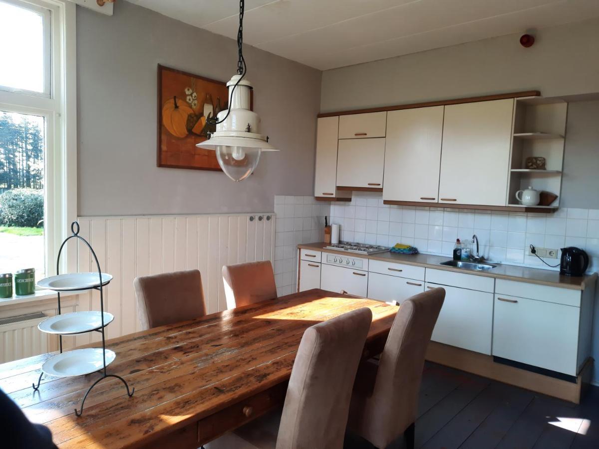 Het Bonte Paard Bed & Breakfast Dwingeloo Dış mekan fotoğraf