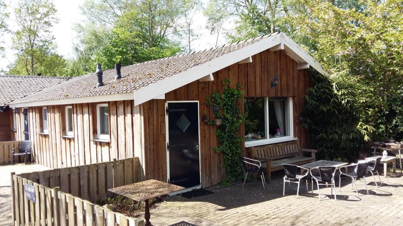 Het Bonte Paard Bed & Breakfast Dwingeloo Dış mekan fotoğraf